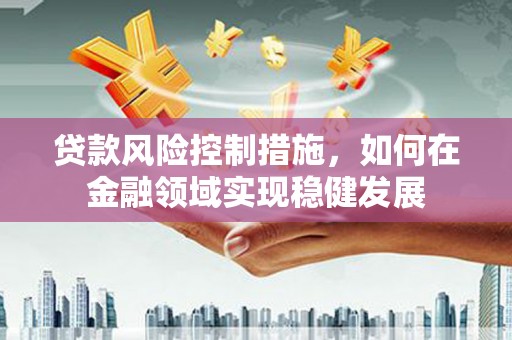 大丰贷款风险控制措施，如何在金融领域实现稳健发展
