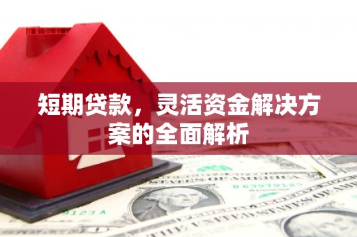 大丰短期贷款，灵活资金解决方案的全面解析
