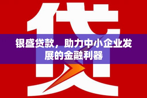 大丰银盛贷款，助力中小企业发展的金融利器