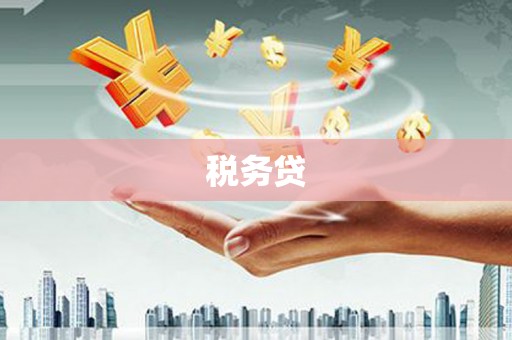 大丰税务贷