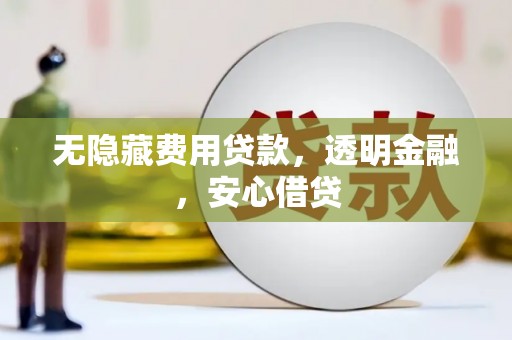 大丰无隐藏费用贷款，透明金融，安心借贷
