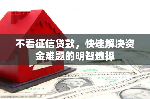 大丰不看征信贷款，快速解决资金难题的明智选择