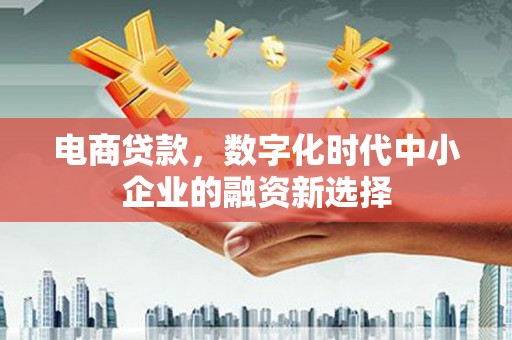 大丰电商贷款，数字化时代中小企业的融资新选择