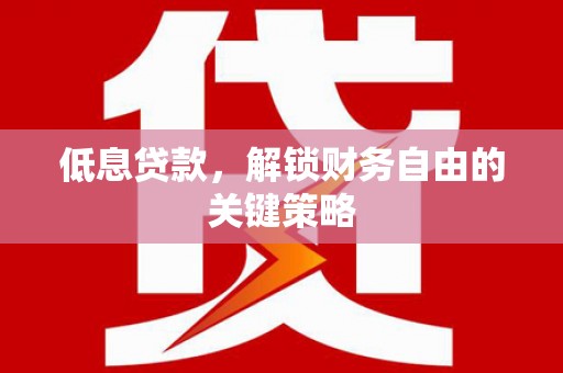 大丰低息贷款，解锁财务自由的关键策略