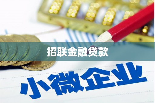 大丰招联金融贷款