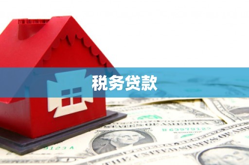 大丰税务贷款
