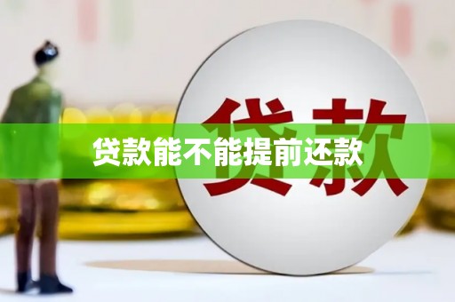 大丰贷款能不能提前还款