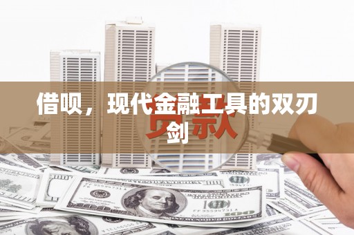 大丰借呗，现代金融工具的双刃剑