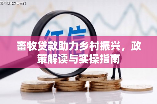 大丰畜牧贷款助力乡村振兴，政策解读与实操指南