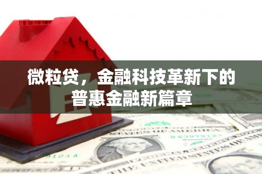 大丰微粒贷，金融科技革新下的普惠金融新篇章