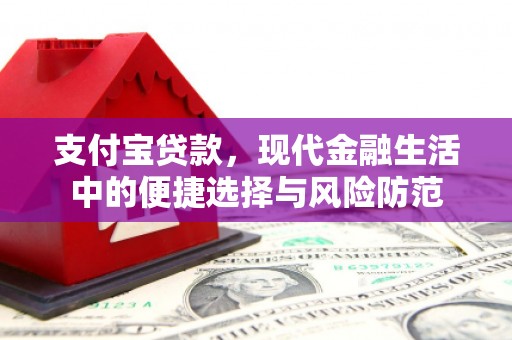 大丰支付宝贷款，现代金融生活中的便捷选择与风险防范