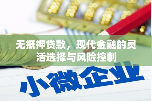 大丰无抵押贷款，现代金融的灵活选择与风险控制
