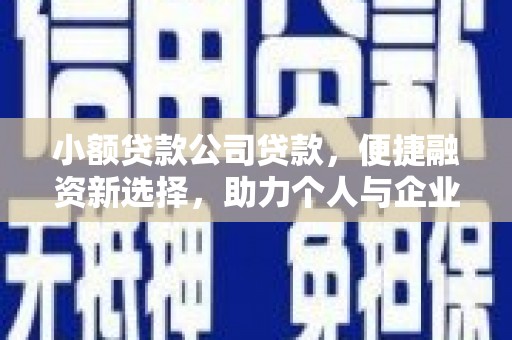 大丰小额贷款公司贷款，便捷融资新选择，助力个人与企业成长