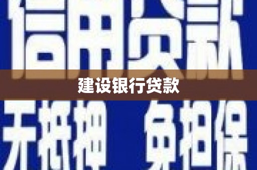 大丰建设银行贷款