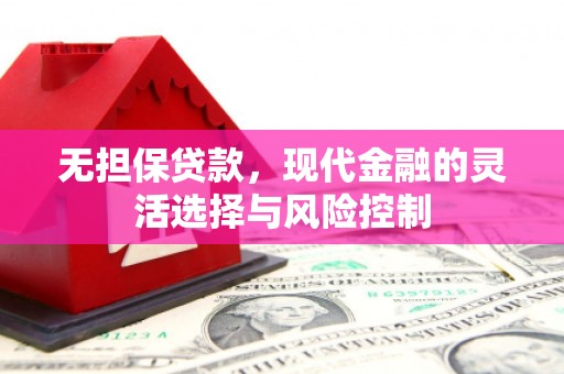 大丰无担保贷款，现代金融的灵活选择与风险控制