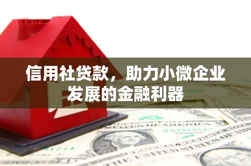 大丰信用社贷款，助力小微企业发展的金融利器
