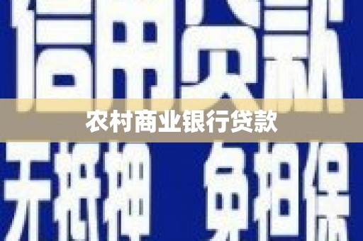 大丰农村商业银行贷款