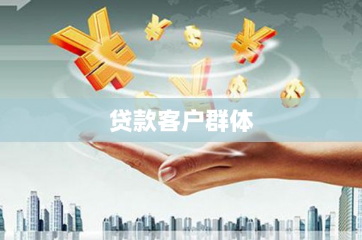 大丰贷款客户群体