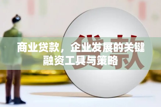 大丰商业贷款，企业发展的关键融资工具与策略