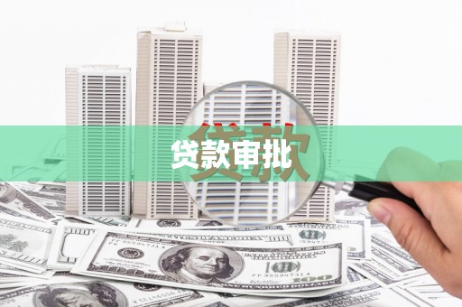 大丰贷款审批