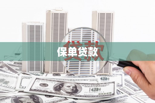 大丰保单贷款