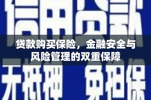 大丰贷款购买保险，金融安全与风险管理的双重保障