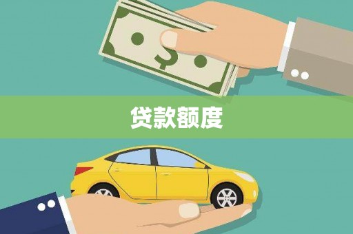 大丰贷款额度