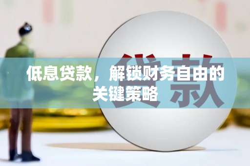 大丰低息贷款，解锁财务自由的关键策略