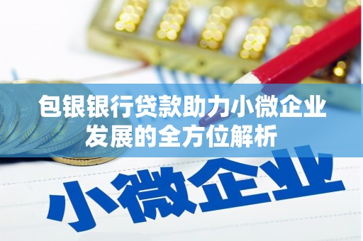 大丰包银银行贷款助力小微企业发展的全方位解析