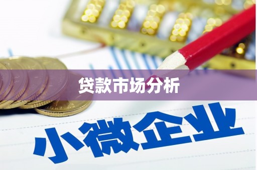 大丰贷款市场分析