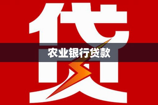 大丰农业银行贷款