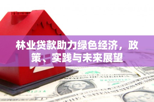 大丰林业贷款助力绿色经济，政策、实践与未来展望
