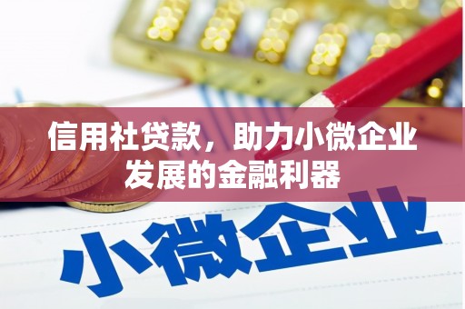 大丰信用社贷款，助力小微企业发展的金融利器