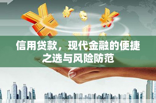 大丰信用贷款，现代金融的便捷之选与风险防范