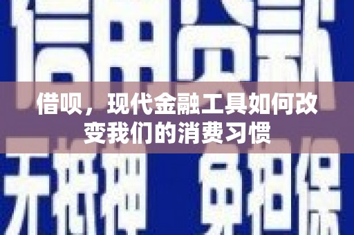 大丰借呗，现代金融工具如何改变我们的消费习惯