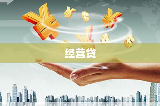 大丰经营贷
