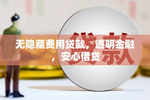 大丰无隐藏费用贷款，透明金融，安心借贷