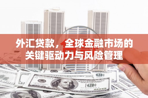 大丰外汇贷款，全球金融市场的关键驱动力与风险管理
