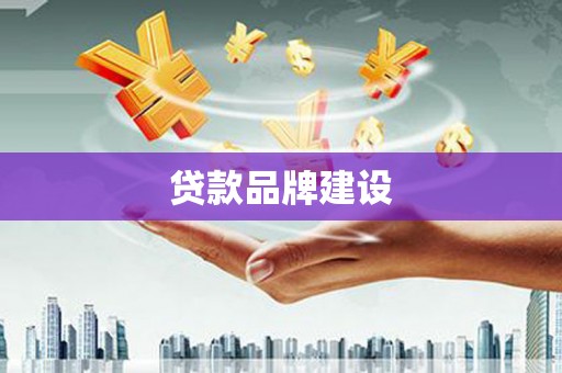 大丰贷款品牌建设