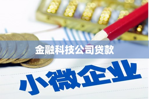 大丰金融科技公司贷款