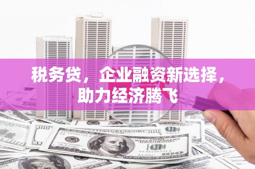 大丰税务贷，企业融资新选择，助力经济腾飞
