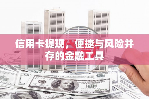 大丰信用卡提现，便捷与风险并存的金融工具