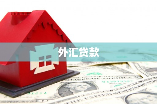 大丰外汇贷款