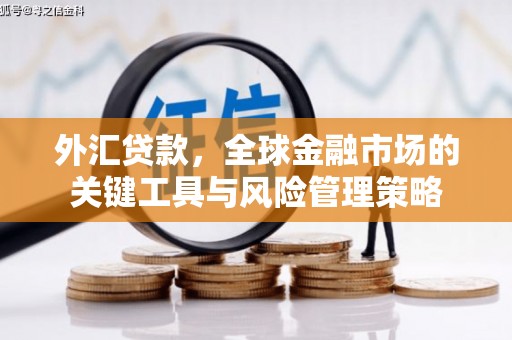 大丰外汇贷款，全球金融市场的关键工具与风险管理策略