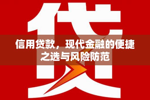 大丰信用贷款，现代金融的便捷之选与风险防范