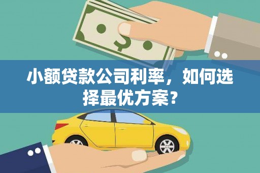 大丰小额贷款公司利率，如何选择最优方案？