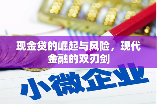 大丰现金贷的崛起与风险，现代金融的双刃剑
