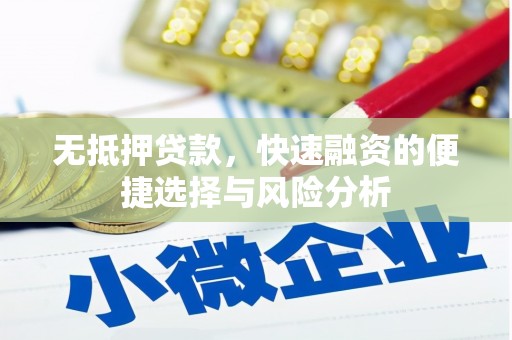 大丰无抵押贷款，快速融资的便捷选择与风险分析