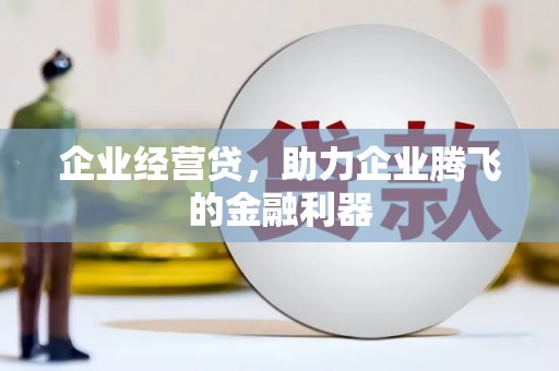 大丰企业经营贷，助力企业腾飞的金融利器