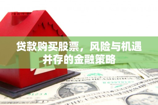 大丰贷款购买股票，风险与机遇并存的金融策略